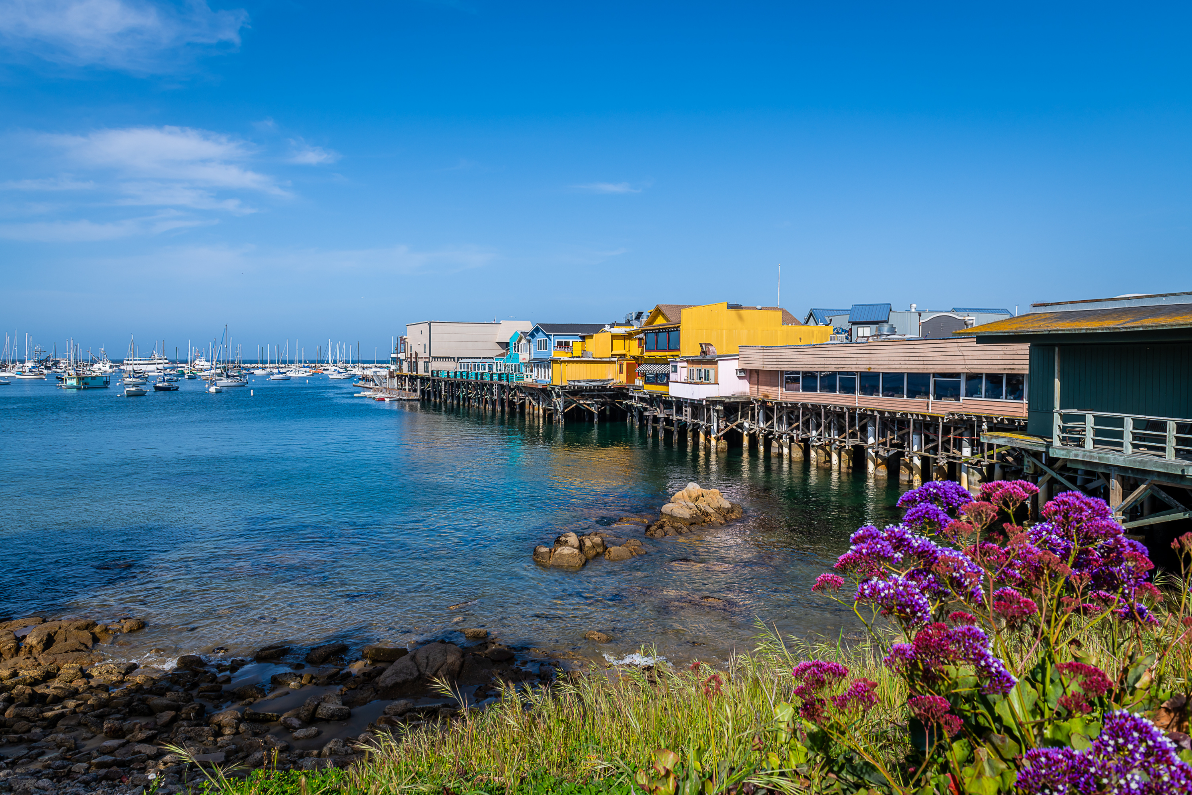 monterey, california (4).webp